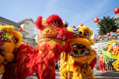 Dragon and lion dance show in chinese new year festival (Tet festival ), lion Dance - dragon and lion dance street performances in Vietnam. Holidays and celebrations concept. Selective focus.