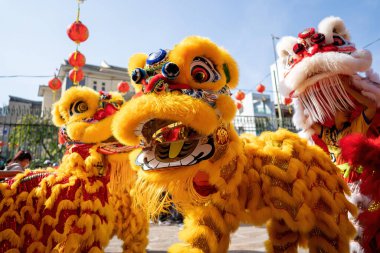 Dragon and lion dance show in chinese new year festival (Tet festival ), lion Dance - dragon and lion dance street performances in Vietnam. Holidays and celebrations concept. Selective focus.