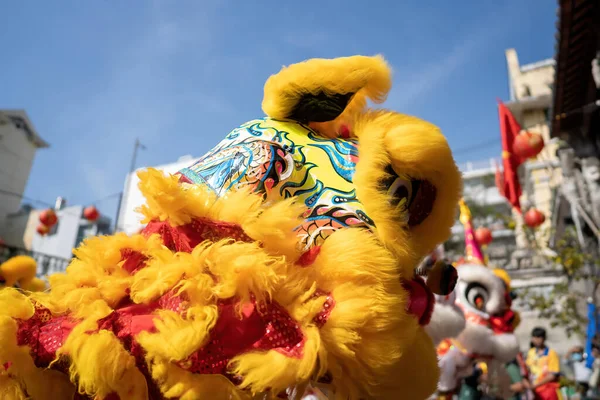 Dragon and lion dance show in chinese new year festival (Tet festival ), lion Dance - dragon and lion dance street performances in Vietnam. Holidays and celebrations concept. Selective focus.