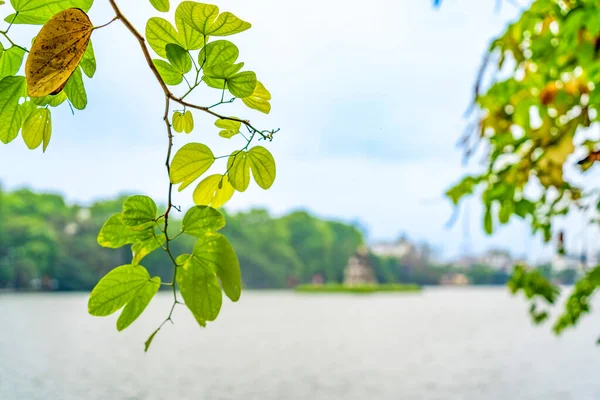 stock image Hoan Kiem Lake ( Ho Guom) or Sword lake in the center of Hanoi in the morning. Hoan Kiem Lake is a famous tourist place in Hanoi. Travel and landscape concept. Selective focus.