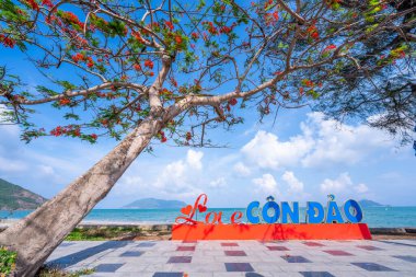 Con Son kasabasındaki kıyı şeridi boyunca uzanan ana yolun manzarası. Con Dao Adası Güney Vietnam 'ın en ünlü yerlerinden biridir. Seyahat ve manzara konsepti.