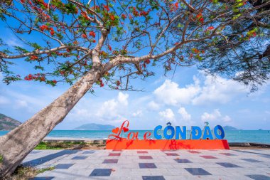 Con Son kasabasındaki kıyı şeridi boyunca uzanan ana yolun manzarası. Con Dao Adası Güney Vietnam 'ın en ünlü yerlerinden biridir. Seyahat ve manzara konsepti.