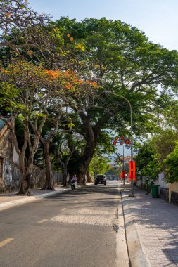 Con Son kasabasındaki kıyı şeridi boyunca uzanan ana yolun manzarası. Con Dao Adası Güney Vietnam 'ın en ünlü yerlerinden biridir. Seyahat ve manzara konsepti.