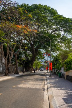 Con Son kasabasındaki kıyı şeridi boyunca uzanan ana yolun manzarası. Con Dao Adası Güney Vietnam 'ın en ünlü yerlerinden biridir. Seyahat ve manzara konsepti.