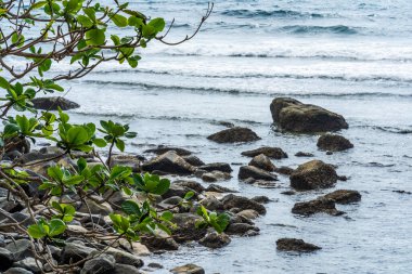 Vietnam 'da barış dolu bir Con Dao adası Vietnam' ın cennet adasıdır. Dalgalı kıyı manzarası, kıyı şeridi, açık gökyüzü ve yol, mavi deniz, turistler ve dağ. Seyahat ve manzara konsepti.
