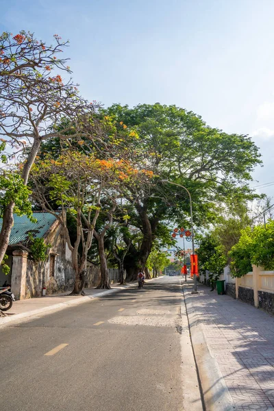 Con Son kasabasındaki kıyı şeridi boyunca uzanan ana yolun manzarası. Con Dao Adası Güney Vietnam 'ın en ünlü yerlerinden biridir. Seyahat ve manzara konsepti.