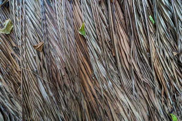Zbliżenie Dachu Górny Materiał Wykonany Przez Suchego Liścia Kokosowego Wietnamie — Zdjęcie stockowe