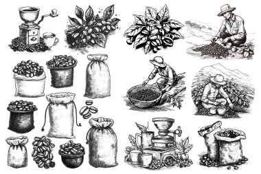 Kahve ağacı dallarının vektör seti. Tarım. Bir çiftçinin hayatı. Kahve hasadı ve işleme. Kahve makinesi, kahve öğütücü, kahve çekirdeği. Büyük koleksiyon beyaz arkaplanda izole edildi.