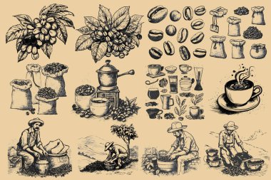 Kahve ağacı dallarının vektör seti. Tarım. Bir çiftçinin hayatı. Kahve hasadı ve işleme. Kahve makinesi, kahve öğütücü, kahve çekirdeği. Büyük koleksiyon beyaz arkaplanda izole edildi.