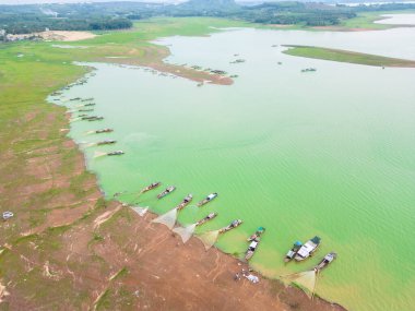 Ben Nom balıkçı köyünün hava manzarası, Tri An Gölü 'ndeki yeşil alg mevsiminin parlak, taze, yeşil bir görüntüsü, pek çok geleneksel balıkçı teknesi demirli. Dong Nai, Vietnam 'da bir yer