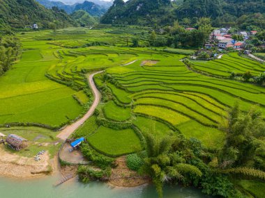 Quay Son nehrindeki hava manzarası, Trung Khanh, Cao Bang, Vietnam doğası, yeşil pirinç tarlaları ve kırsal yerleşim evleri. Seyahat ve manzara konsepti.