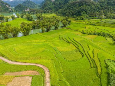 Quay Son nehrindeki hava manzarası, Trung Khanh, Cao Bang, Vietnam doğası, yeşil pirinç tarlaları ve kırsal yerleşim evleri. Seyahat ve manzara konsepti.