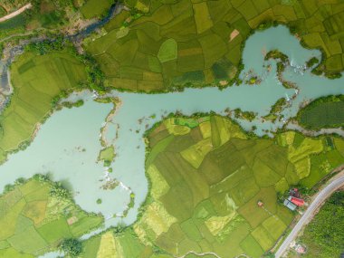 Ngoc Con koğuşundaki dağda şafak manzarası, Trung Khanh kasabası, Cao Bang vilayeti, Vietnam nehir, doğa, yeşil pirinç tarlaları. Ban Gioc şelalesinin yanında. Seyahat ve manzara konsepti.