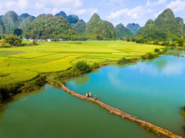 Phong Nam Vadisi 'ndeki hava manzarası çiftçiler, nehir, doğa, yeşil pirinç tarlaları ile Vietnam' ın Cao Bang eyaletindeki evlerine pirinç taşıyorlar. Seyahat ve manzara konsepti.