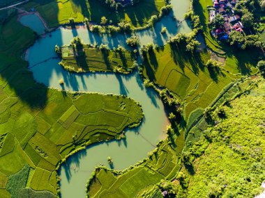 Phong Nam Vadisi 'ndeki hava manzarası Cao Bang Vilayeti, Vietnam' da nehir, doğa, yeşil pirinç tarlaları olan aşırı manzaralı bir yer. Seyahat ve manzara konsepti.