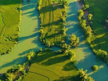 Aerial landscape in Phong Nam valley, an extreme scenery landscape at Cao bang province, Vietnam with river, nature, green rice fields. Travel and landscape concept. clipart