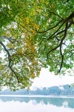 Hoan Kiem Gölü (Ho Guom) ya da Sword Gölü sabah sisli havada Hanoi 'nin merkezinde. Hoan Kiem Gölü Hanoi 'de ünlü bir turistik yerdir. Seyahat ve manzara konsepti. Seçici odak.