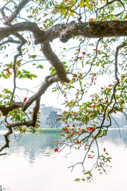 Hoan Kiem Gölü (Ho Guom) ya da Sword Gölü sabah sisli havada Hanoi 'nin merkezinde. Hoan Kiem Gölü Hanoi 'de ünlü bir turistik yerdir. Seyahat ve manzara konsepti. Seçici odak.