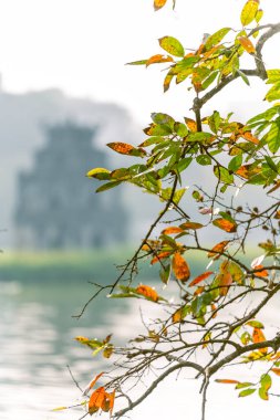 Hoan Kiem Gölü (Ho Guom) ya da Sword Gölü sabah sisli havada Hanoi 'nin merkezinde. Hoan Kiem Gölü Hanoi 'de ünlü bir turistik yerdir. Seyahat ve manzara konsepti. Seçici odak.