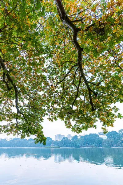 stock image Hoan Kiem Lake ( Ho Guom) or Sword lake in the center of Hanoi in the fog in the morning. Hoan Kiem Lake is a famous tourist place in Hanoi. Travel and landscape concept. Selective focus.