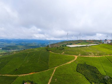 Sabahleyin, Da Lat şehri, Cau Dat, Lam Dong 'da güzel bir manzara. Çay tepesinde rüzgar enerjisi, çayın yamacında sabah manzarası güzel vadinin altındaki sisli dağlarda ekilmiş.