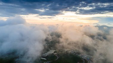 Sabahleyin, Da Lat şehri, Cau Dat, Lam Dong 'da güzel bir manzara. Çay tepesinde rüzgar enerjisi, çayın yamacında sabah manzarası güzel vadinin altındaki sisli dağlarda ekilmiş.