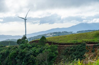 Sabahleyin, Da Lat şehri, Cau Dat, Lam Dong 'da güzel bir manzara. Çay tepesinde rüzgar enerjisi, çayın yamacında sabah manzarası güzel vadinin altındaki sisli dağlarda ekilmiş.