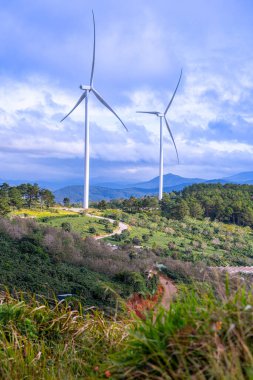 Sabahleyin, Da Lat şehri, Cau Dat, Lam Dong 'da güzel bir manzara. Çay tepesinde rüzgar enerjisi, çayın yamacında sabah manzarası güzel vadinin altındaki sisli dağlarda ekilmiş.