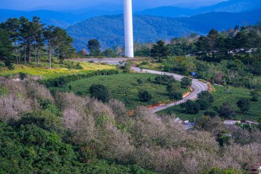 Sabahleyin, Da Lat şehri, Cau Dat, Lam Dong 'da güzel bir manzara. Çay tepesinde rüzgar enerjisi, çayın yamacında sabah manzarası güzel vadinin altındaki sisli dağlarda ekilmiş.