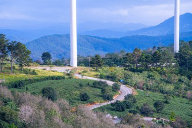 Sabahleyin, Da Lat şehri, Cau Dat, Lam Dong 'da güzel bir manzara. Çay tepesinde rüzgar enerjisi, çayın yamacında sabah manzarası güzel vadinin altındaki sisli dağlarda ekilmiş.