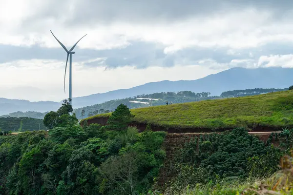 Sabahleyin, Da Lat şehri, Cau Dat, Lam Dong 'da güzel bir manzara. Çay tepesinde rüzgar enerjisi, çayın yamacında sabah manzarası güzel vadinin altındaki sisli dağlarda ekilmiş.