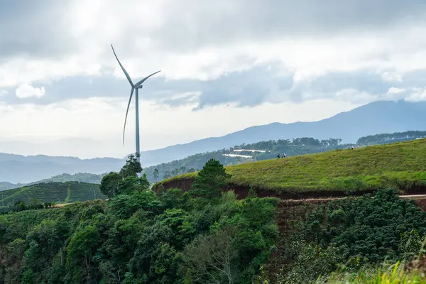 Sabahleyin, Da Lat şehri, Cau Dat, Lam Dong 'da güzel bir manzara. Çay tepesinde rüzgar enerjisi, çayın yamacında sabah manzarası güzel vadinin altındaki sisli dağlarda ekilmiş.