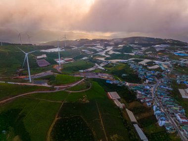 Sabahleyin, Da Lat şehri, Cau Dat, Lam Dong 'da güzel bir manzara. Çay tepesinde rüzgar enerjisi, çayın yamacında sabah manzarası güzel vadinin altındaki sisli dağlarda ekilmiş.