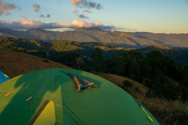 Ta Nang - Phan Gübre yolu, Song Mao Doğa Rezervi 'ndeki çim tepeleri ve ormanlar arasında dönüm noktası. Gençler için yeni varış noktası Vietnam' da gezintiyi sevmek.