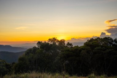 Ta Nang - Phan Gübre yolu, Song Mao Doğa Rezervi 'ndeki çim tepeleri ve ormanlar arasında dönüm noktası. Gençler için yeni varış noktası Vietnam' da gezintiyi sevmek.