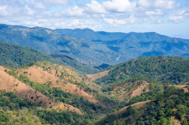 Ta Nang - Phan Gübre yolu, Song Mao Doğa Rezervi 'ndeki çim tepeleri ve ormanlar arasında dönüm noktası. Gençler için yeni varış noktası Vietnam' da gezintiyi sevmek.
