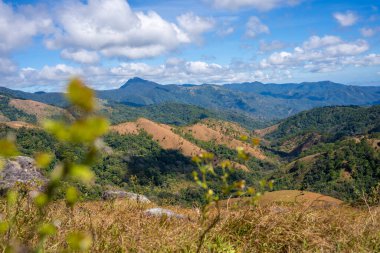 Ta Nang - Phan Gübre yolu, Song Mao Doğa Rezervi 'ndeki çim tepeleri ve ormanlar arasında dönüm noktası. Gençler için yeni varış noktası Vietnam' da gezintiyi sevmek.