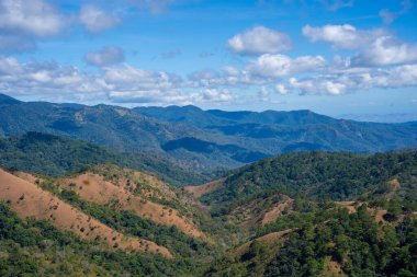 Ta Nang - Phan Gübre yolu, Song Mao Doğa Rezervi 'ndeki çim tepeleri ve ormanlar arasında dönüm noktası. Gençler için yeni varış noktası Vietnam' da gezintiyi sevmek.