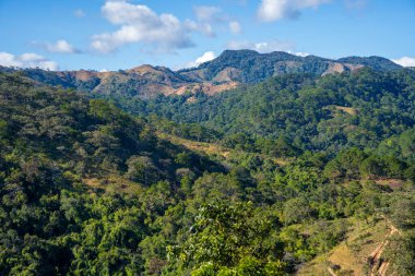 Ta Nang - Phan Gübre yolu, Song Mao Doğa Rezervi 'ndeki çim tepeleri ve ormanlar arasında dönüm noktası. Gençler için yeni varış noktası Vietnam' da gezintiyi sevmek.
