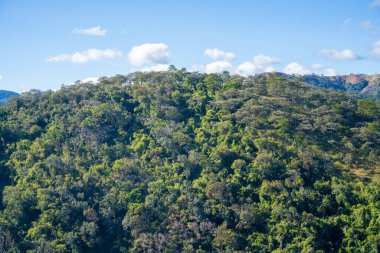 Ta Nang - Phan Gübre yolu, Song Mao Doğa Rezervi 'ndeki çim tepeleri ve ormanlar arasında dönüm noktası. Gençler için yeni varış noktası Vietnam' da gezintiyi sevmek.