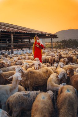 Kırsalda kuzusu olan Vietnamlı bir kadın, Vietnam 'ın Ninh Thuan eyaletinde bozkırda bir koyun çiftliği. Seyahat kavramı.