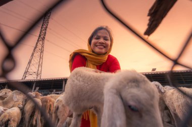 Kırsalda kuzusu olan Vietnamlı bir kadın, Vietnam 'ın Ninh Thuan eyaletinde bozkırda bir koyun çiftliği. Seyahat kavramı.