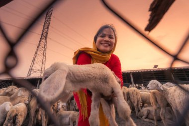 Kırsalda kuzusu olan Vietnamlı bir kadın, Vietnam 'ın Ninh Thuan eyaletinde bozkırda bir koyun çiftliği. Seyahat kavramı.