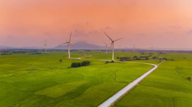 Türbin yeşil enerji elektriği, elektrik üretimi için yel değirmeni, Phan Rang, Ninh Thuan, Vietnam 'da pirinç tarlasında elektrik üreten rüzgar türbinleri. Temiz enerji kavramı.