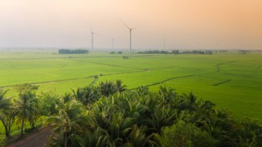 Türbin yeşil enerji elektriği, elektrik üretimi için yel değirmeni, Phan Rang, Ninh Thuan, Vietnam 'da pirinç tarlasında elektrik üreten rüzgar türbinleri. Temiz enerji kavramı.