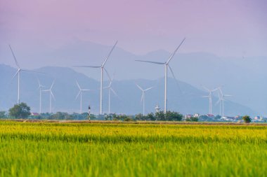 Türbin yeşil enerji elektriği, elektrik üretimi için yel değirmeni, Phan Rang, Ninh Thuan, Vietnam 'da pirinç tarlasında elektrik üreten rüzgar türbinleri. Temiz enerji kavramı.