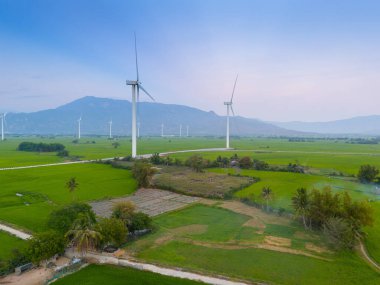 Türbin yeşil enerji elektriği, elektrik üretimi için yel değirmeni, Phan Rang, Ninh Thuan, Vietnam 'da pirinç tarlasında elektrik üreten rüzgar türbinleri. Temiz enerji kavramı.