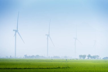 Türbin yeşil enerji elektriği, elektrik üretimi için yel değirmeni, Phan Rang, Ninh Thuan, Vietnam 'da pirinç tarlasında elektrik üreten rüzgar türbinleri. Temiz enerji kavramı.