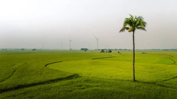 stock image view of turbine green energy electricity, windmill for electric power production, Wind turbines generating electricity on rice field at Phan Rang, Ninh Thuan province, Vietnam. Clean energy concept.