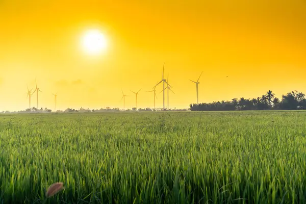 stock image view of turbine green energy electricity, windmill for electric power production, Wind turbines generating electricity on rice field at Phan Rang, Ninh Thuan province, Vietnam. Clean energy concept.